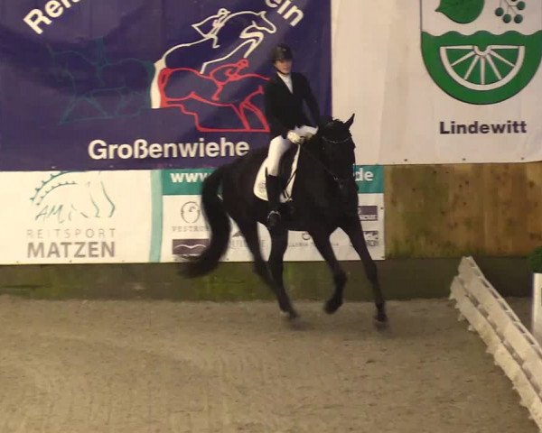 Reitturnier Großenwiehe 2023