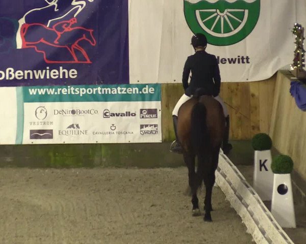 Reitturnier Großenwiehe 2023