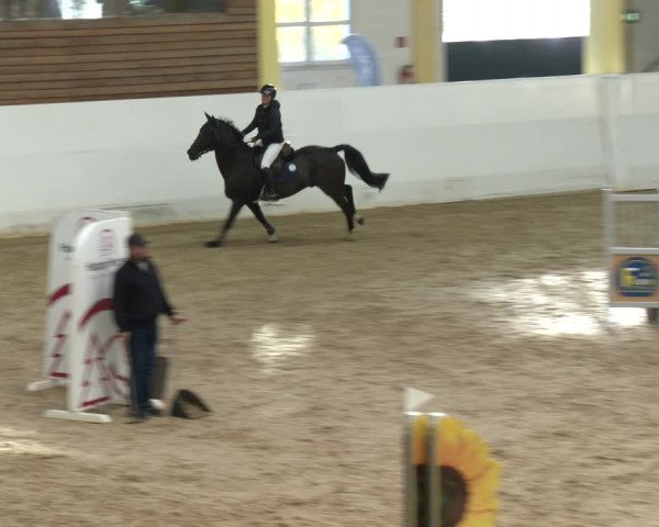 Springturnier Stadl Paura 2023