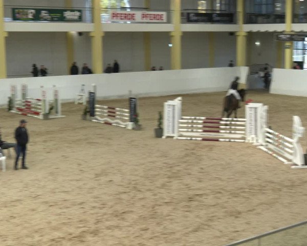 Springturnier Stadl Paura 2023