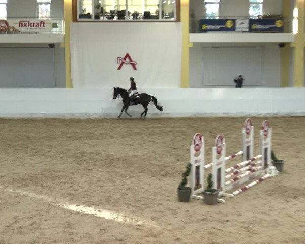 Springturnier Stadl Paura 2023