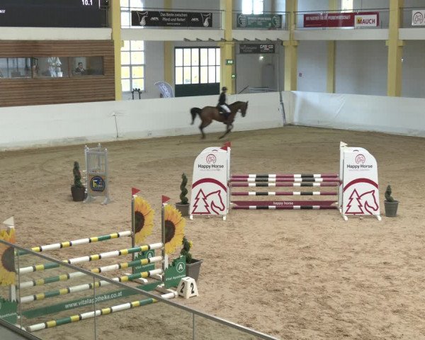 Springturnier Stadl Paura 2023