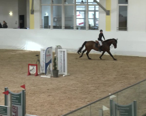 Springturnier Stadl Paura 2023