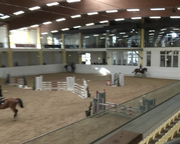 Springturnier Stadl Paura 2023