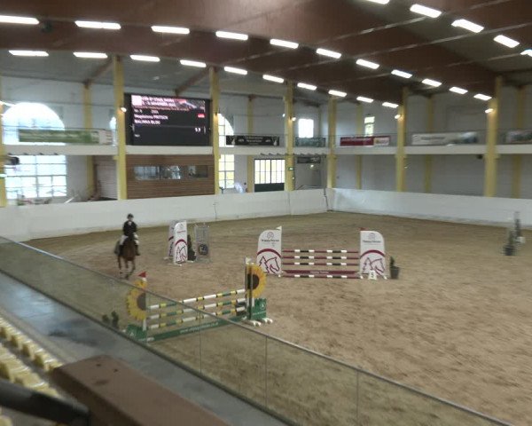 Springturnier Stadl Paura 2023