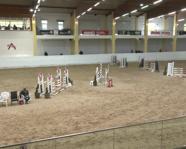 Springturnier Stadl Paura 2023