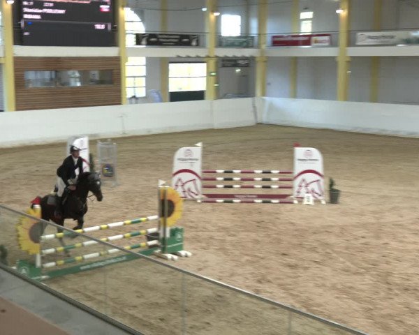 Springturnier Stadl Paura 2023