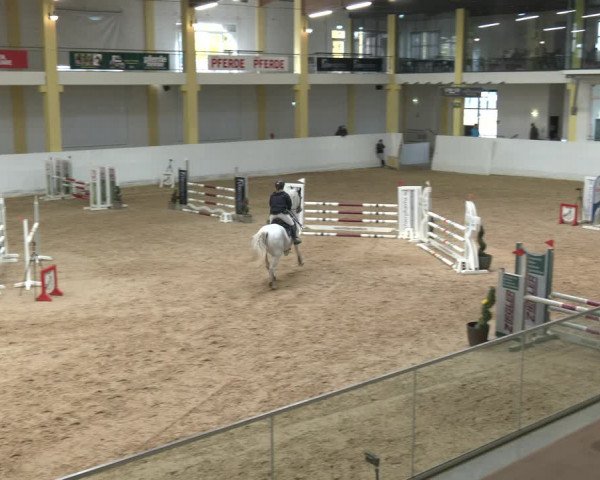 Springturnier Stadl Paura 2023