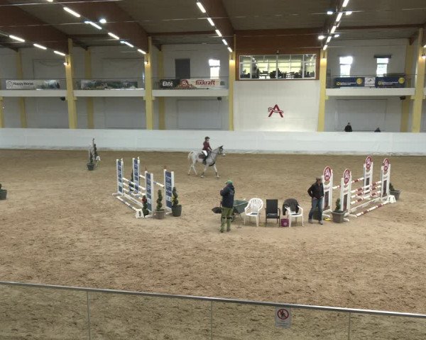 Springturnier Stadl Paura 2023