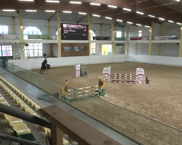 Springturnier Stadl Paura 2023