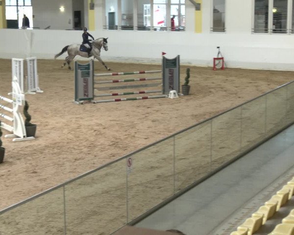 Springturnier Stadl Paura 2023