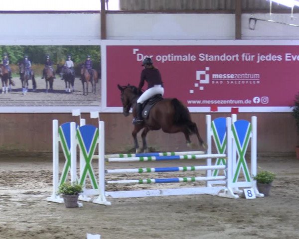 Reitturnier Bad Salzuflen 2023