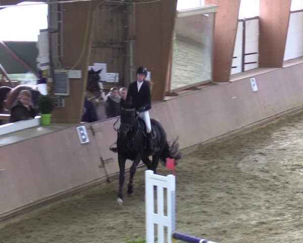 Reitturnier Bad Salzuflen 2023