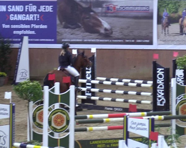 Reitturnier Bad Salzuflen 2023