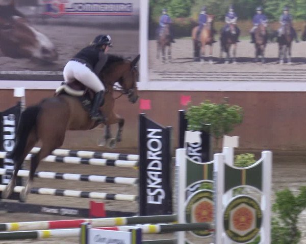 Reitturnier Bad Salzuflen 2023