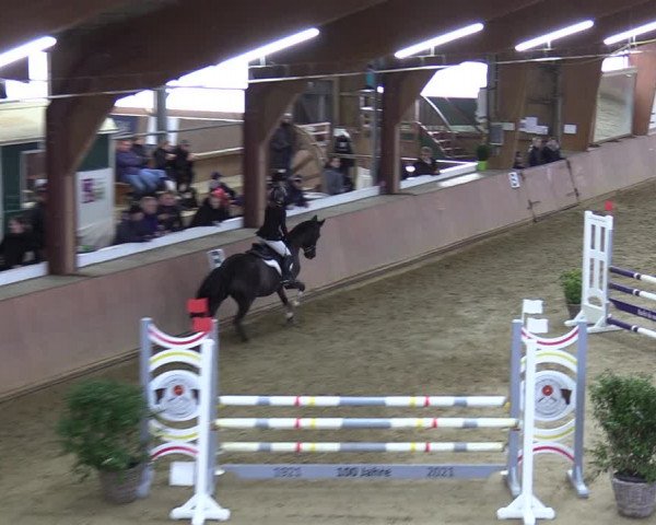 Reitturnier Bad Salzuflen 2023