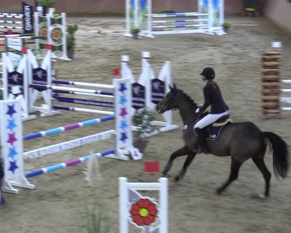 Reitturnier Bad Salzuflen 2023