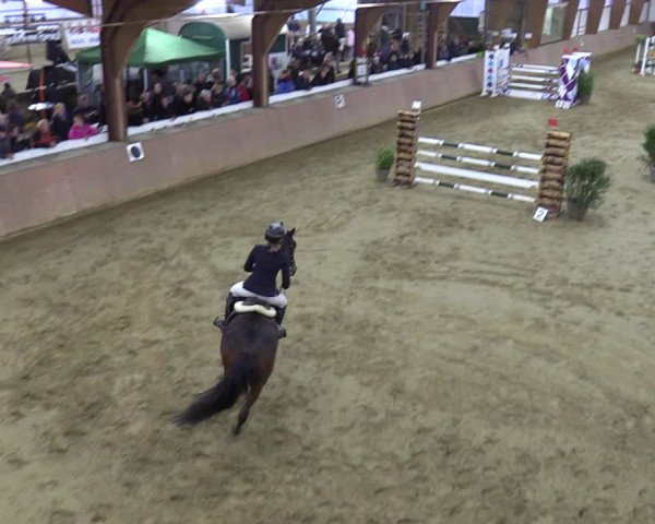 Reitturnier Bad Salzuflen 2023