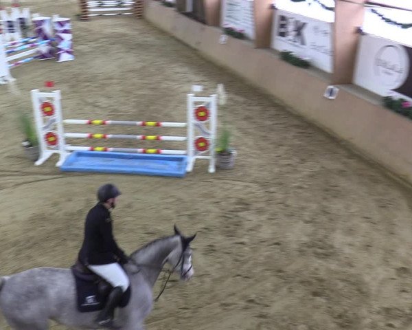 Reitturnier Bad Salzuflen 2023