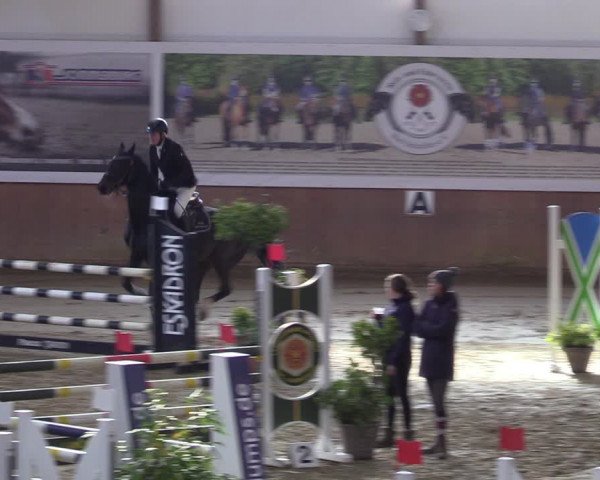 Reitturnier Bad Salzuflen 2023