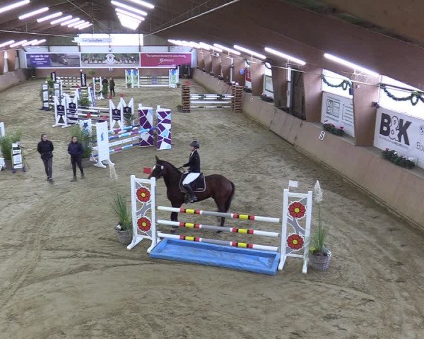 Reitturnier Bad Salzuflen 2023
