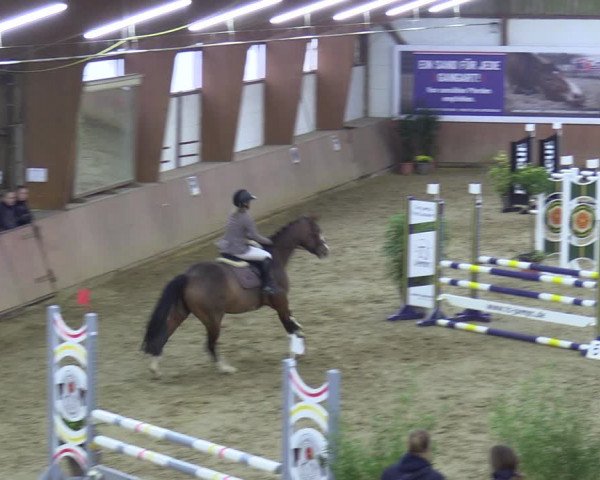 Reitturnier Bad Salzuflen 2023