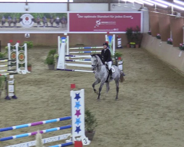 Reitturnier Bad Salzuflen 2023
