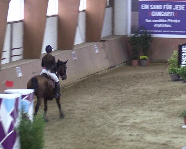 Reitturnier Bad Salzuflen 2023