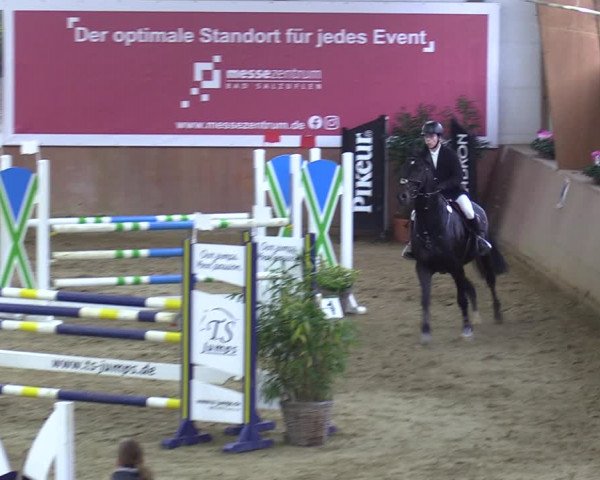 Reitturnier Bad Salzuflen 2023