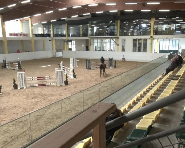 Springturnier Stadl Paura 2023