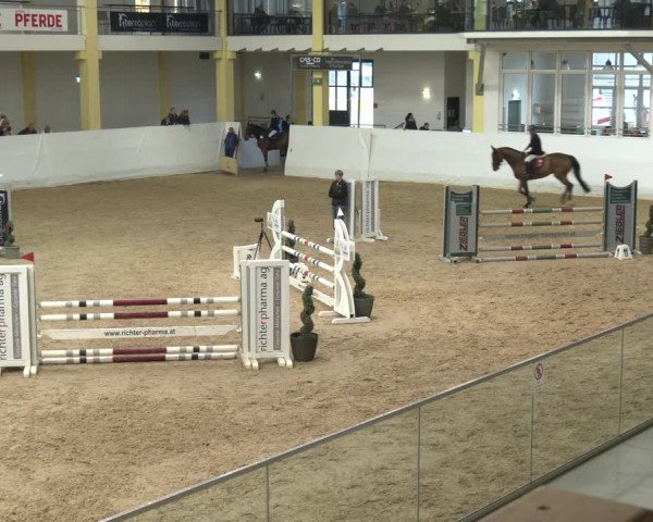 Springturnier Stadl Paura 2023