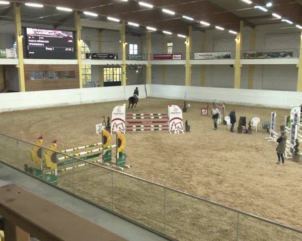 Springturnier Stadl Paura 2023