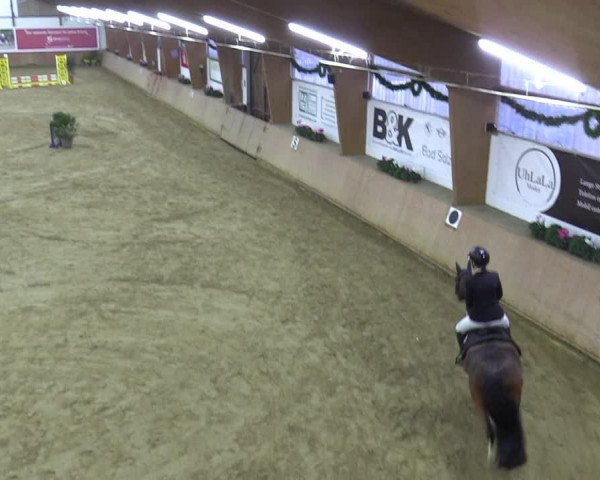 Reitturnier Bad Salzuflen 2023