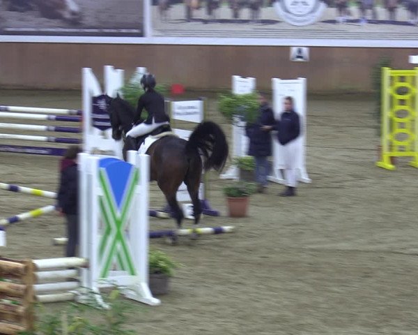 Reitturnier Bad Salzuflen 2023