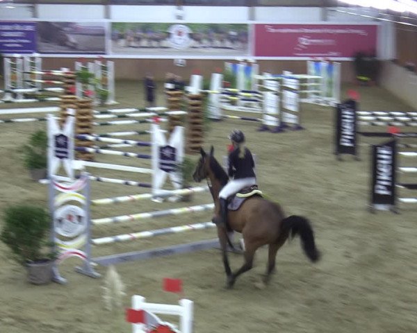 Reitturnier Bad Salzuflen 2023