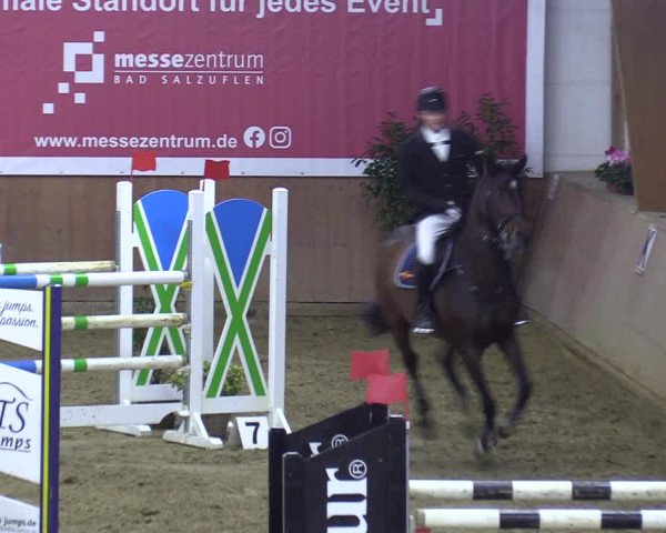 Reitturnier Bad Salzuflen 2023
