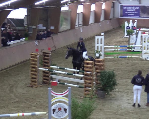 Reitturnier Bad Salzuflen 2023