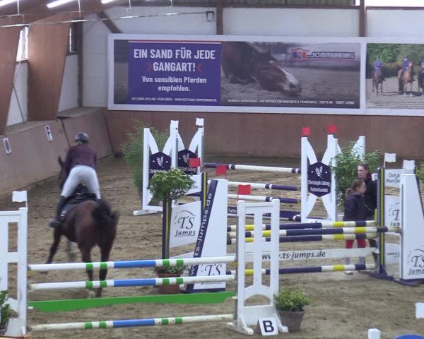 Reitturnier Bad Salzuflen 2023