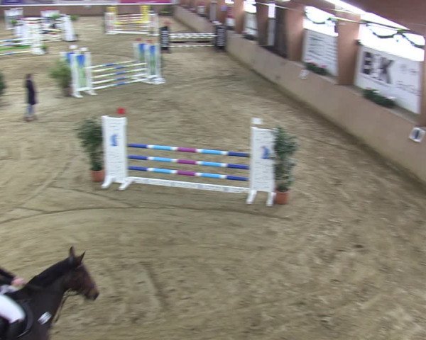 Reitturnier Bad Salzuflen 2023