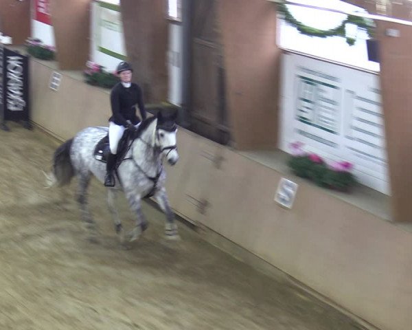 Reitturnier Bad Salzuflen 2023