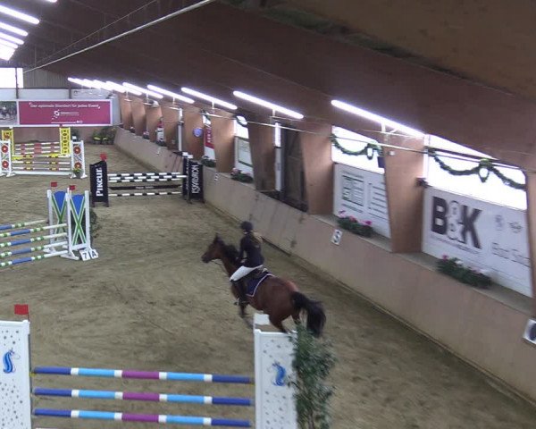 Reitturnier Bad Salzuflen 2023