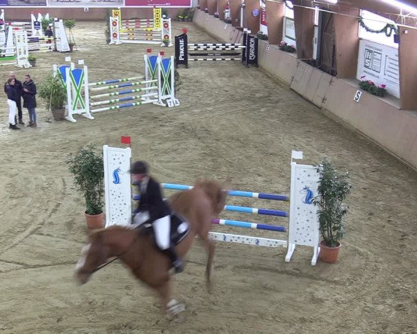 Reitturnier Bad Salzuflen 2023