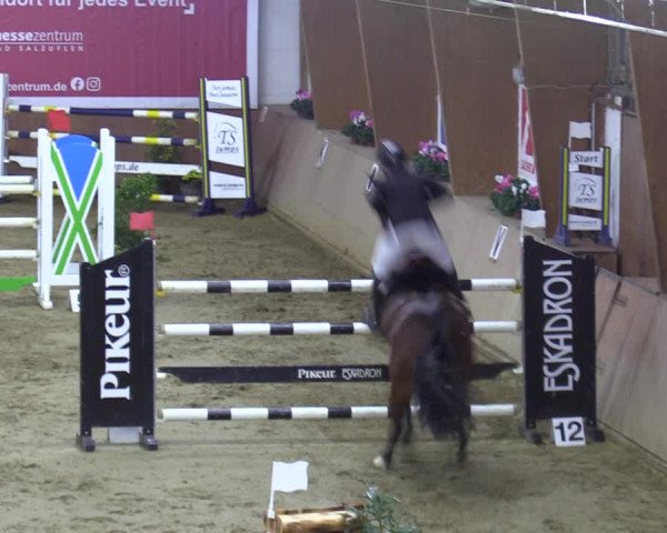 Reitturnier Bad Salzuflen 2023