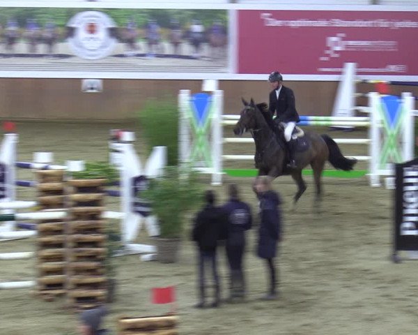 Reitturnier Bad Salzuflen 2023