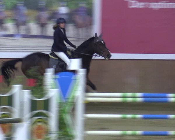 Reitturnier Bad Salzuflen 2023