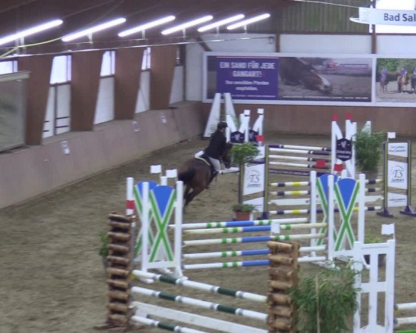 Reitturnier Bad Salzuflen 2023