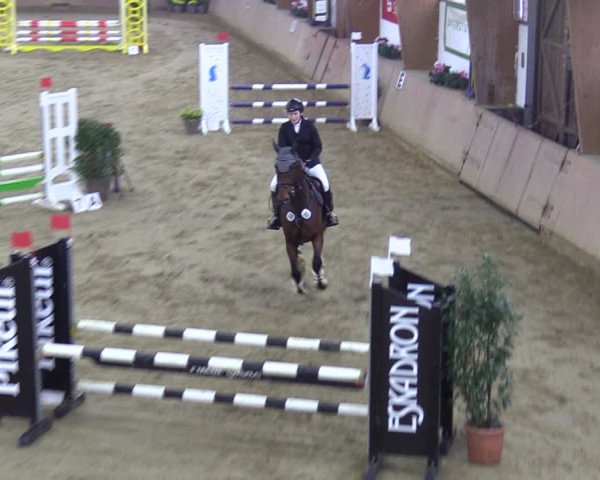 Reitturnier Bad Salzuflen 2023