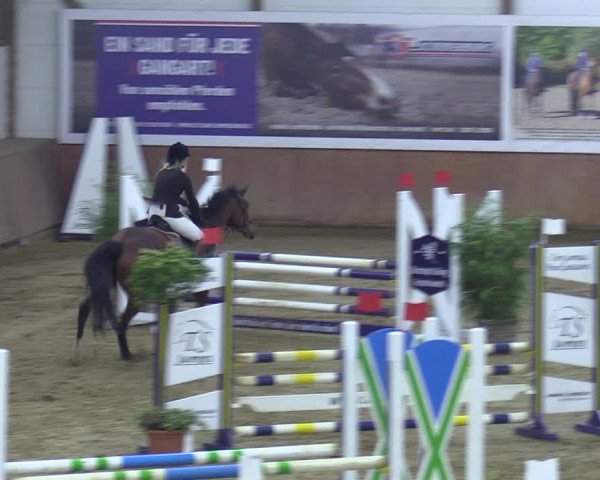 Reitturnier Bad Salzuflen 2023
