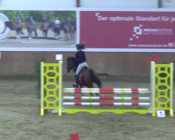 Reitturnier Bad Salzuflen 2023