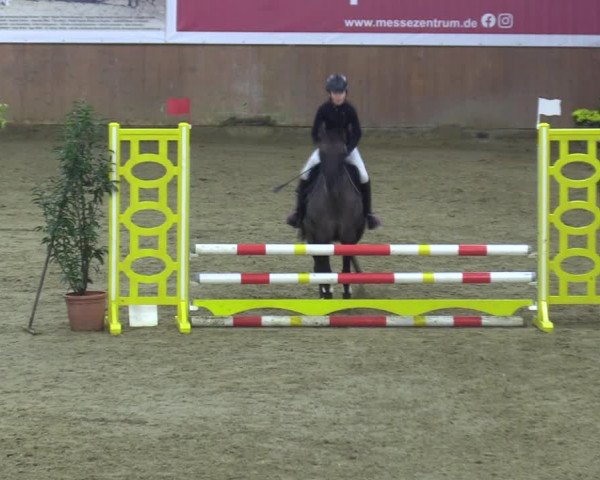 Reitturnier Bad Salzuflen 2023